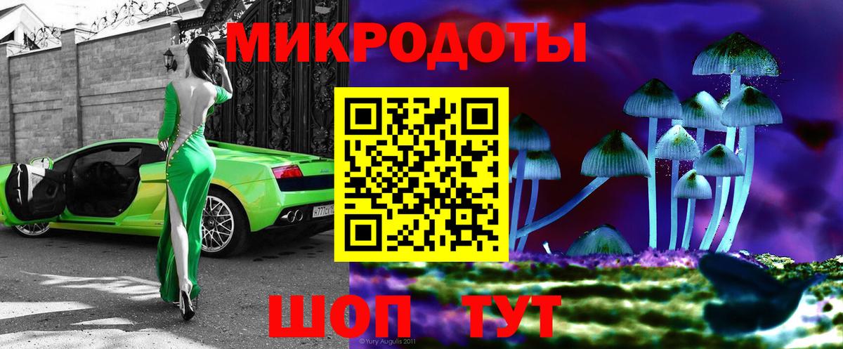 Галлюциногенные грибы Psilocybine cubensis Майкоп