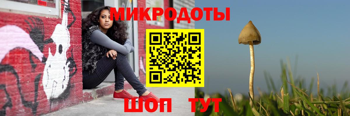 Майкоп  Псилоцибиновые грибы Cubensis  Вход с VPN 