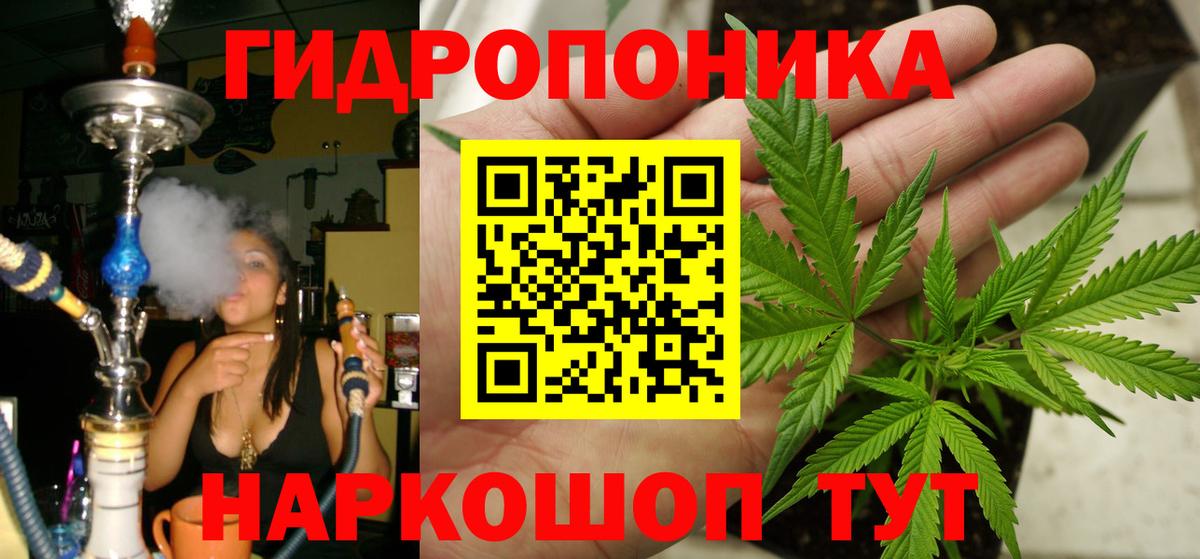 Бошки марихуана Bruce Banner Майкоп